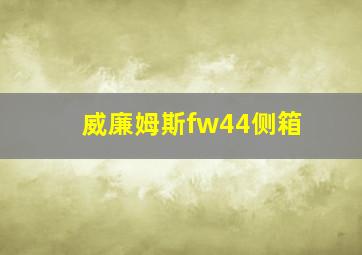 威廉姆斯fw44侧箱