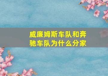 威廉姆斯车队和奔驰车队为什么分家