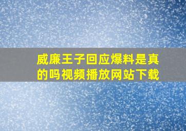 威廉王子回应爆料是真的吗视频播放网站下载