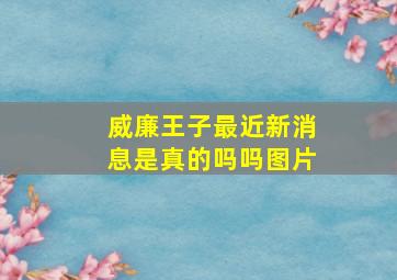 威廉王子最近新消息是真的吗吗图片