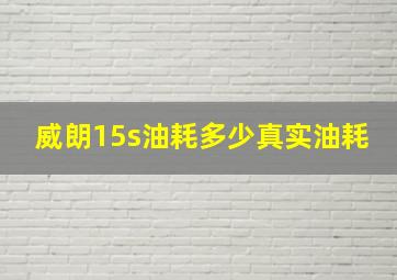 威朗15s油耗多少真实油耗