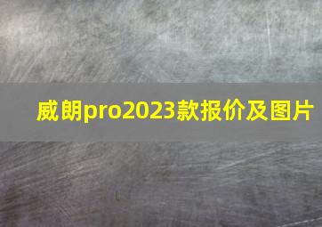 威朗pro2023款报价及图片