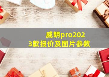 威朗pro2023款报价及图片参数