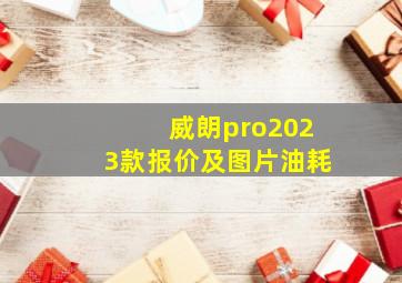 威朗pro2023款报价及图片油耗