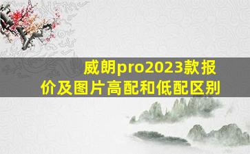 威朗pro2023款报价及图片高配和低配区别