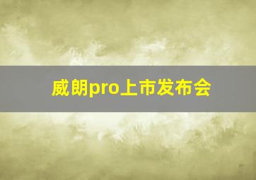 威朗pro上市发布会