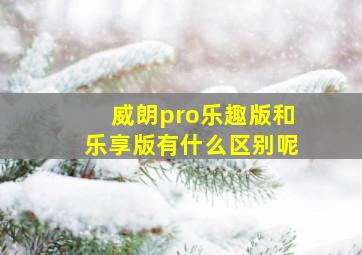 威朗pro乐趣版和乐享版有什么区别呢