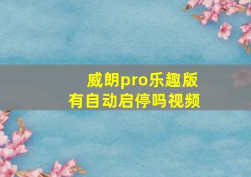 威朗pro乐趣版有自动启停吗视频