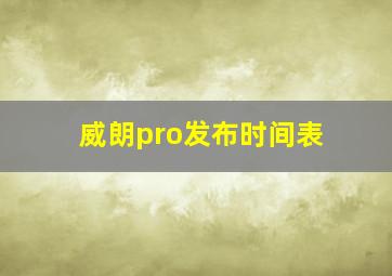 威朗pro发布时间表