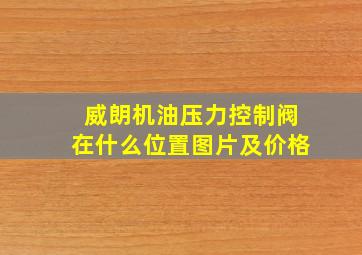 威朗机油压力控制阀在什么位置图片及价格