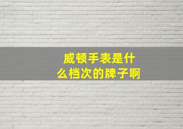 威顿手表是什么档次的牌子啊