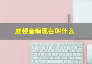 威顿音响现在叫什么