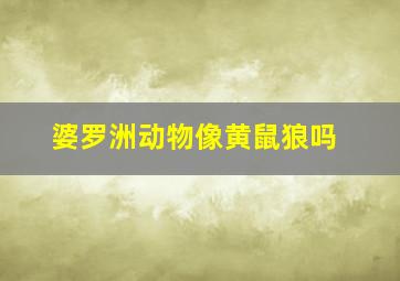 婆罗洲动物像黄鼠狼吗