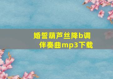 婚誓葫芦丝降b调伴奏曲mp3下载