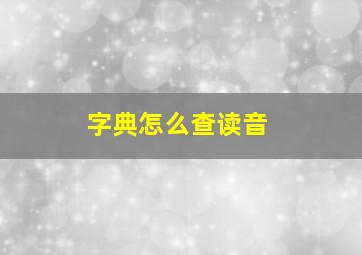 字典怎么查读音