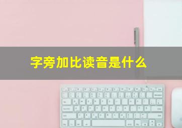 字旁加比读音是什么