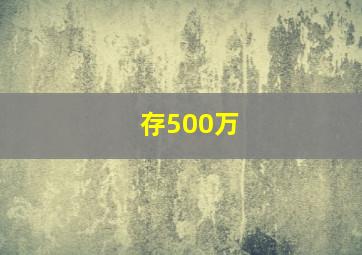 存500万