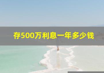 存500万利息一年多少钱