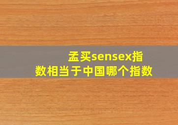 孟买sensex指数相当于中国哪个指数