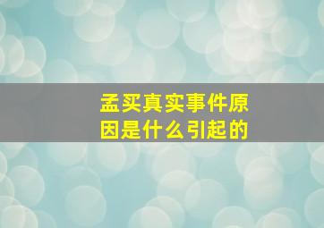 孟买真实事件原因是什么引起的