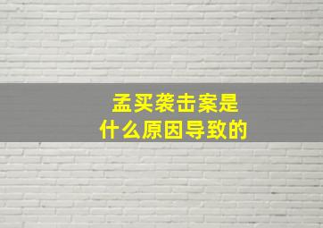 孟买袭击案是什么原因导致的