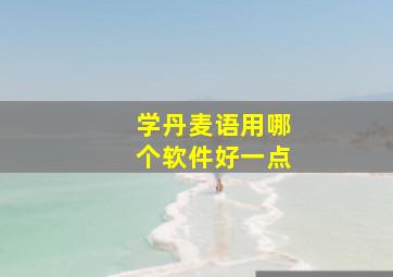 学丹麦语用哪个软件好一点