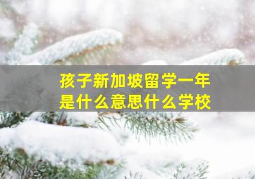 孩子新加坡留学一年是什么意思什么学校