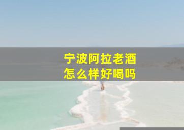 宁波阿拉老酒怎么样好喝吗