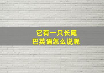 它有一只长尾巴英语怎么说呢