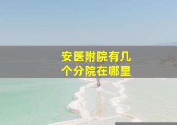 安医附院有几个分院在哪里