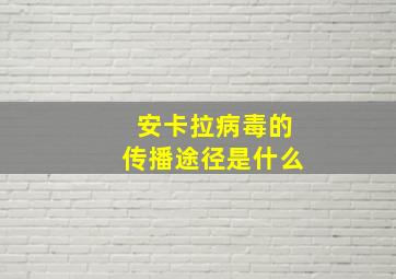 安卡拉病毒的传播途径是什么