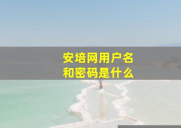 安培网用户名和密码是什么