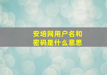 安培网用户名和密码是什么意思