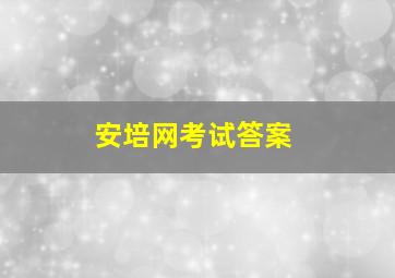 安培网考试答案