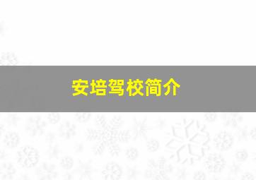 安培驾校简介