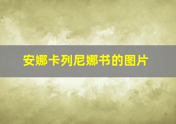 安娜卡列尼娜书的图片