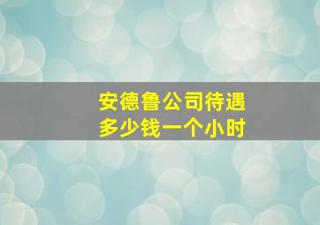 安德鲁公司待遇多少钱一个小时