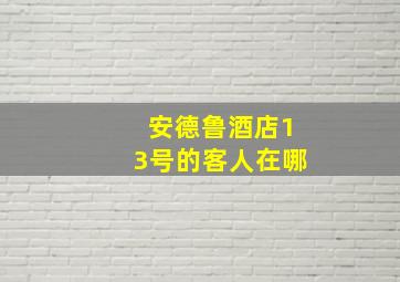 安德鲁酒店13号的客人在哪