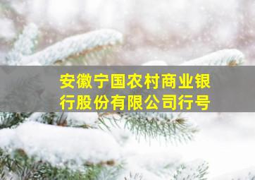 安徽宁国农村商业银行股份有限公司行号