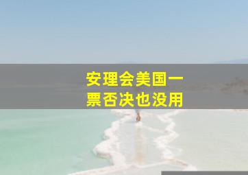 安理会美国一票否决也没用