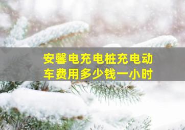 安馨电充电桩充电动车费用多少钱一小时