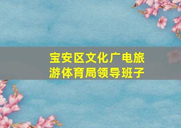 宝安区文化广电旅游体育局领导班子