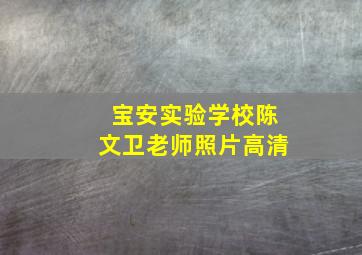 宝安实验学校陈文卫老师照片高清