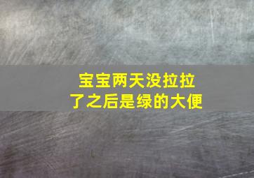 宝宝两天没拉拉了之后是绿的大便