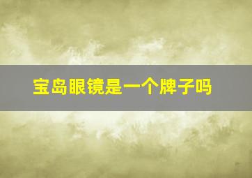 宝岛眼镜是一个牌子吗