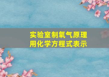 实验室制氧气原理用化学方程式表示