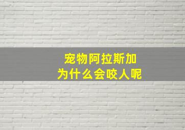 宠物阿拉斯加为什么会咬人呢