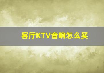 客厅KTV音响怎么买