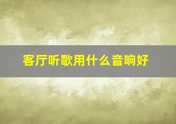 客厅听歌用什么音响好