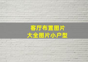 客厅布置图片大全图片小户型